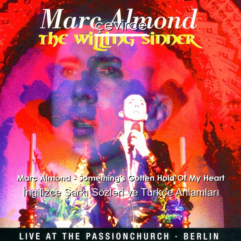 Marc Almond – Something’s Gotten Hold Of My Heart İngilizce Şarkı Sözleri Türkçe Anlamları
