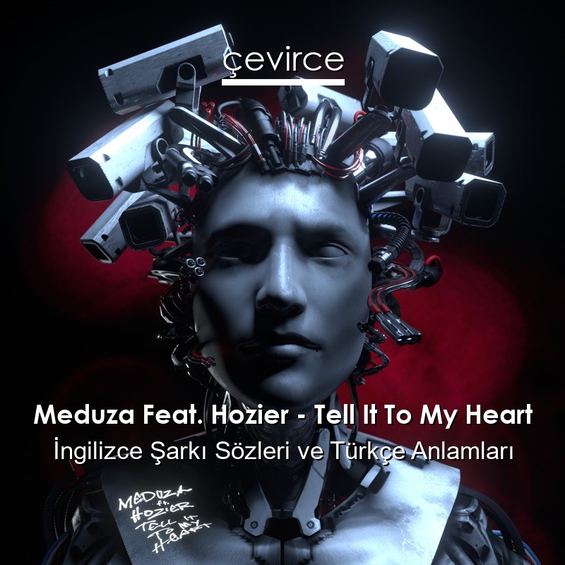 Meduza Feat. Hozier – Tell It To My Heart İngilizce Şarkı Sözleri Türkçe Anlamları