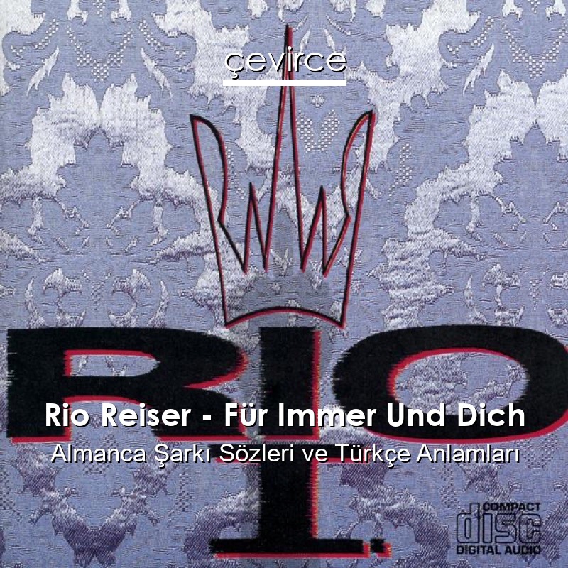 Rio Reiser – Für Immer Und Dich Almanca Şarkı Sözleri Türkçe Anlamları