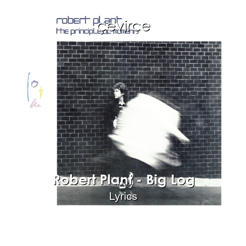 Robert Plant – Big Log Lyrics