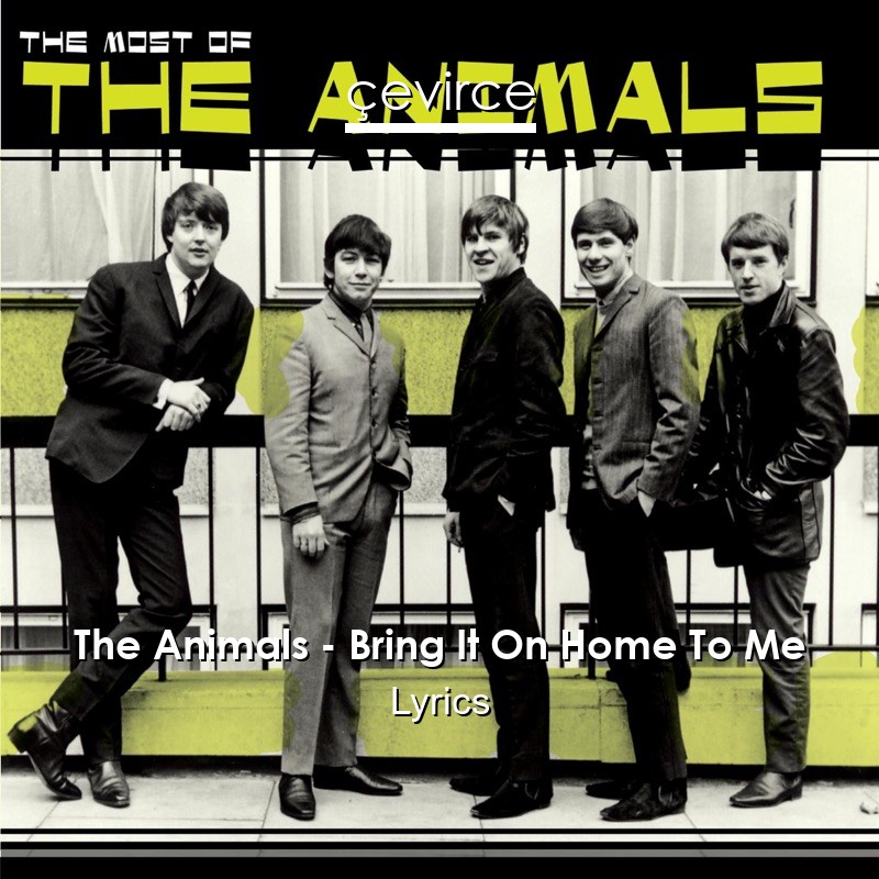 The Animals – Bring It On Home To Me Lyrics - lyrics | çevirce