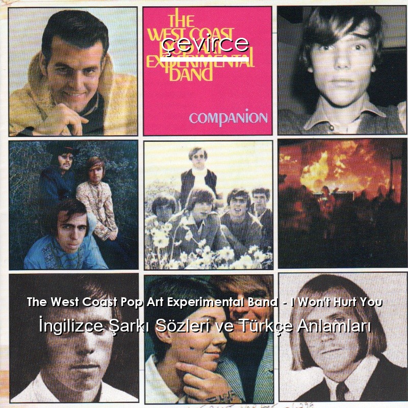 The West Coast Pop Art Experimental Band – I Won’t Hurt You İngilizce Şarkı Sözleri Türkçe Anlamları