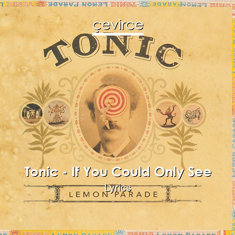 Tonic – If You Could Only See Lyrics
