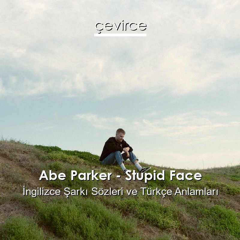 Abe Parker – Stupid Face İngilizce Şarkı Sözleri Türkçe Anlamları