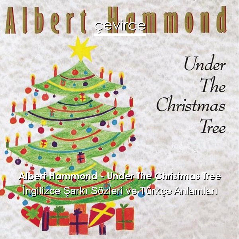 Albert Hammond – Under The Christmas Tree İngilizce Şarkı Sözleri Türkçe Anlamları