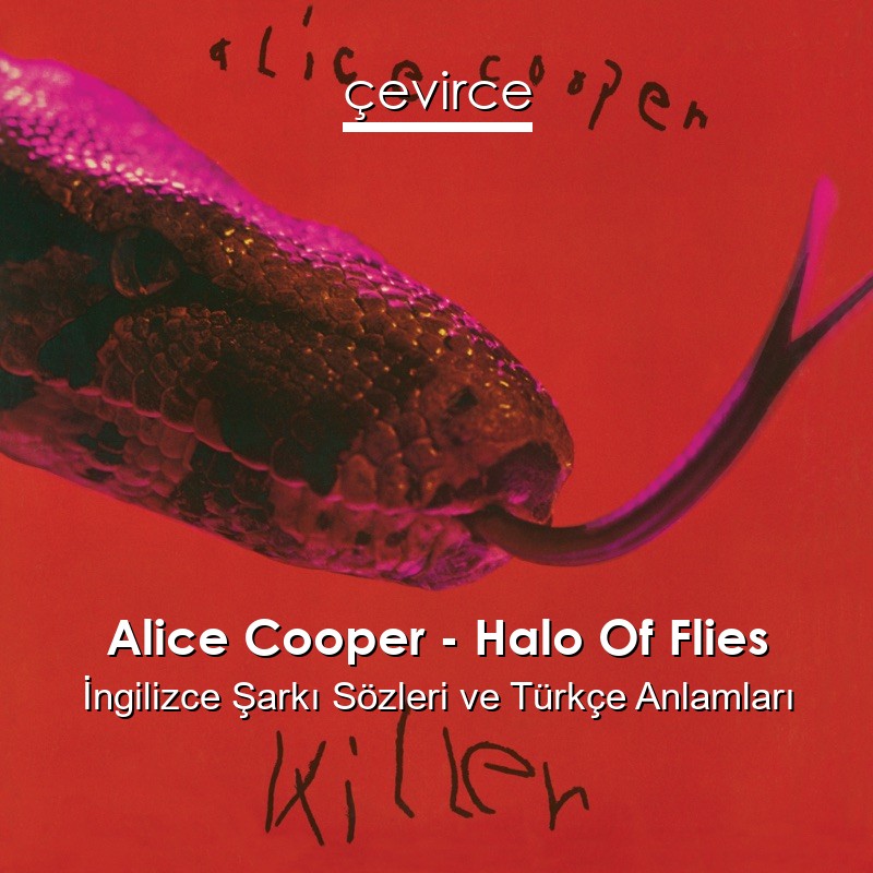 Alice Cooper – Halo Of Flies İngilizce Şarkı Sözleri Türkçe Anlamları