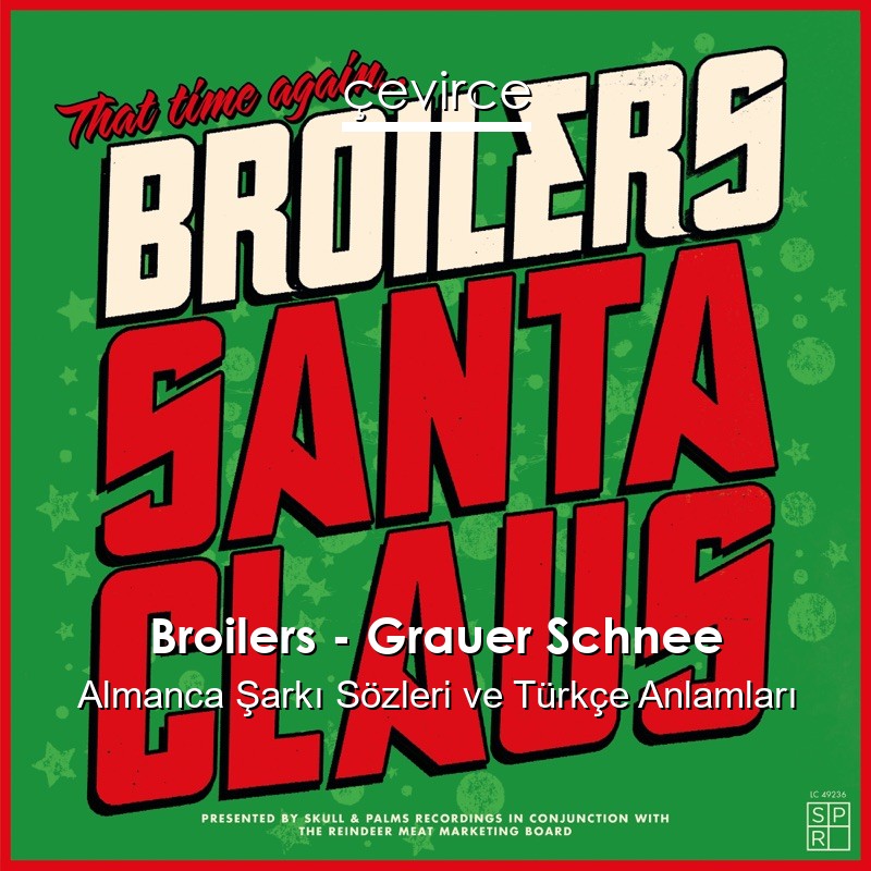 Broilers – Grauer Schnee Almanca Şarkı Sözleri Türkçe Anlamları
