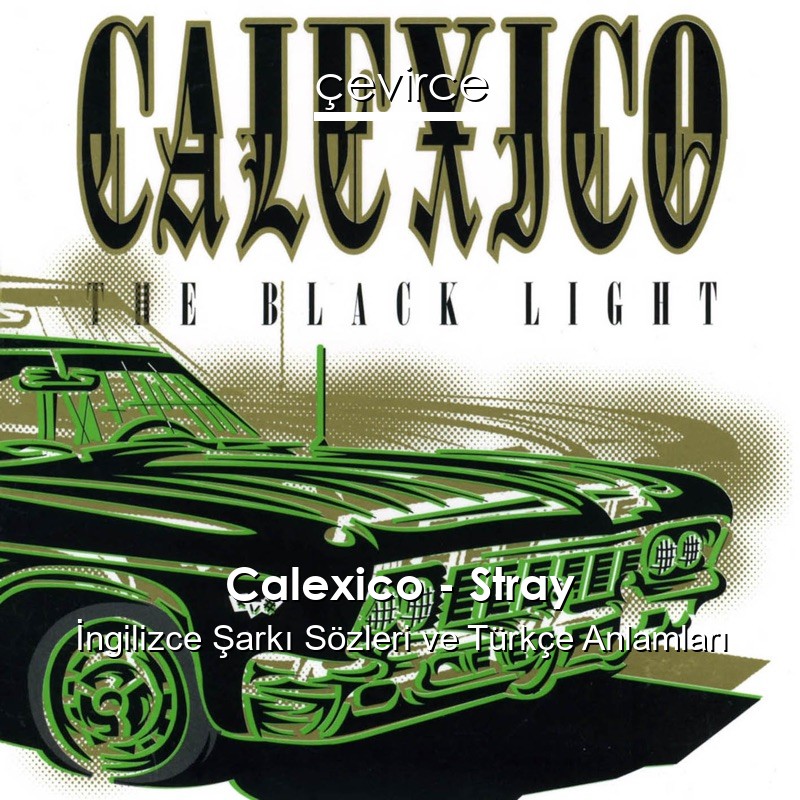 Calexico – Stray İngilizce Şarkı Sözleri Türkçe Anlamları