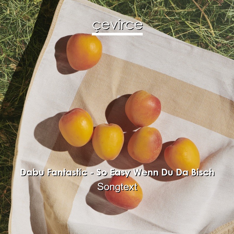 Dabu Fantastic – So Easy Wenn Du Da Bisch Songtext