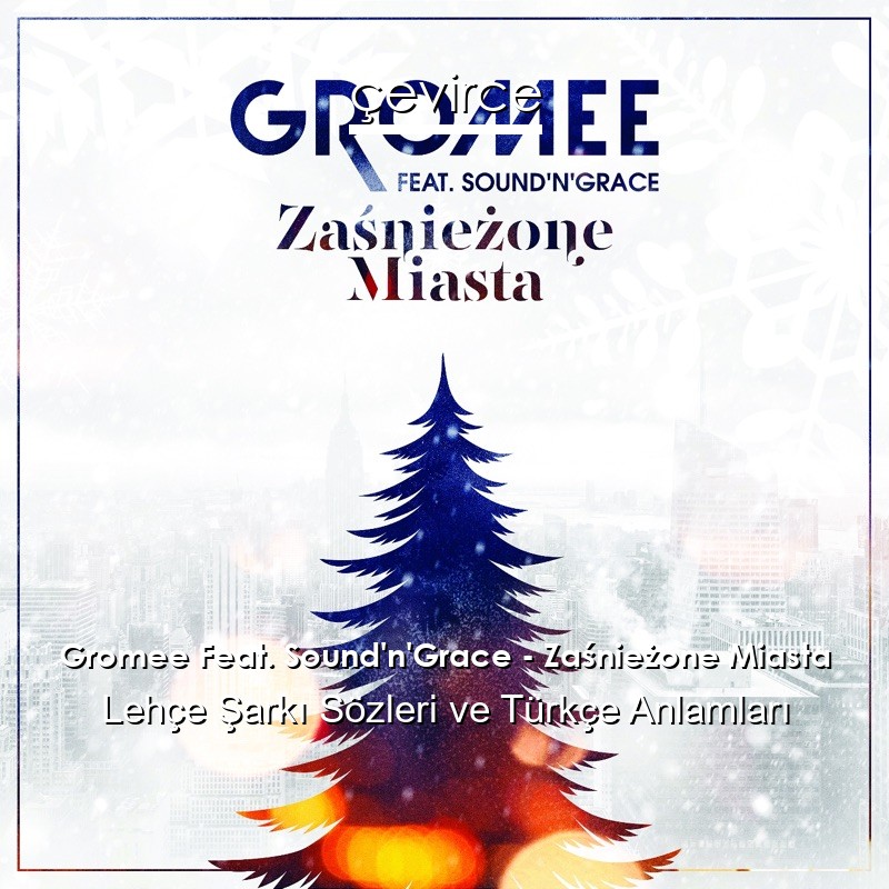 Gromee Feat. Sound’n’Grace – Zaśnieżone Miasta Lehçe Şarkı Sözleri Türkçe Anlamları