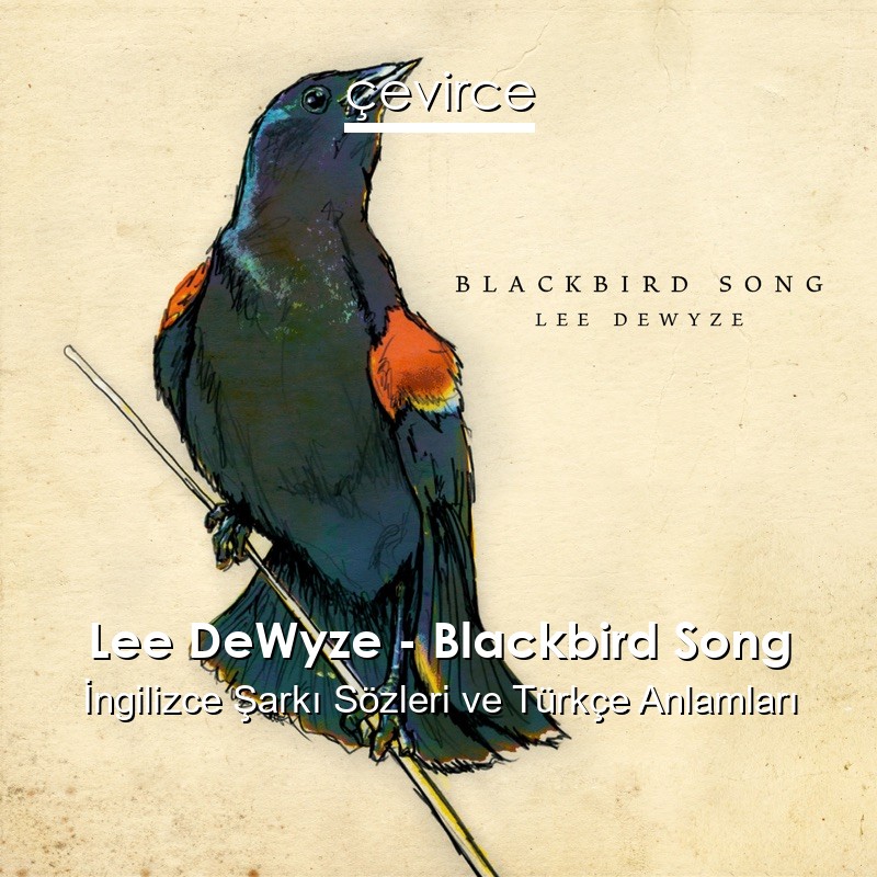 Lee DeWyze – Blackbird Song İngilizce Şarkı Sözleri Türkçe Anlamları