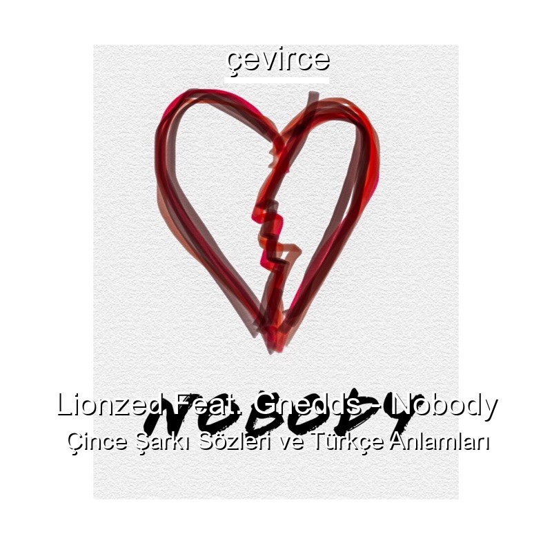 Lionzed Feat. Gnedds – Nobody Çince Şarkı Sözleri Türkçe Anlamları