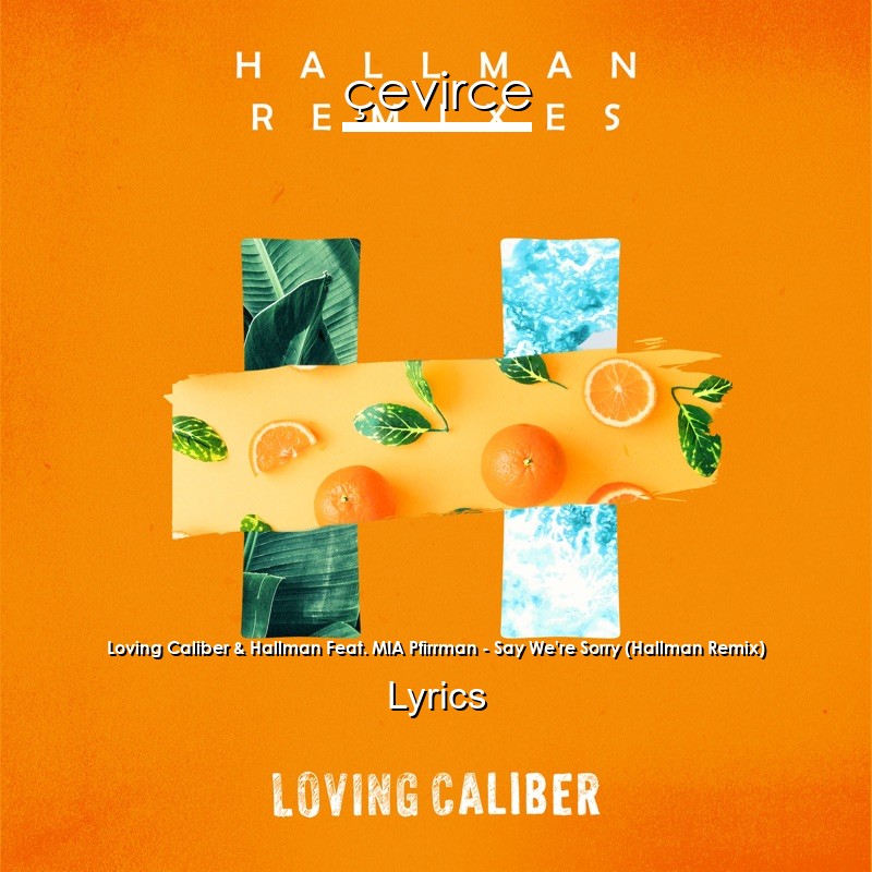 Loving Caliber & Hallman Feat. MIA Pfirrman – Say We’re Sorry (Hallman Remix) Lyrics