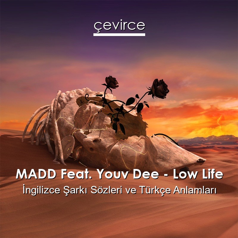 MADD Feat. Youv Dee – Low Life İngilizce Şarkı Sözleri Türkçe Anlamları