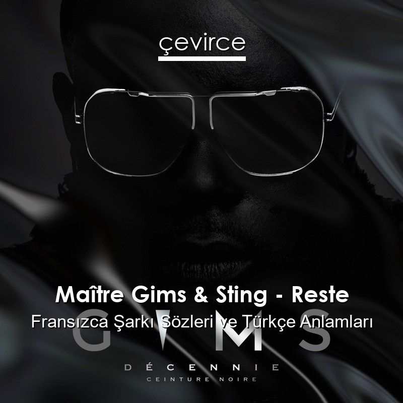 Maître Gims & Sting – Reste Fransızca Şarkı Sözleri Türkçe Anlamları