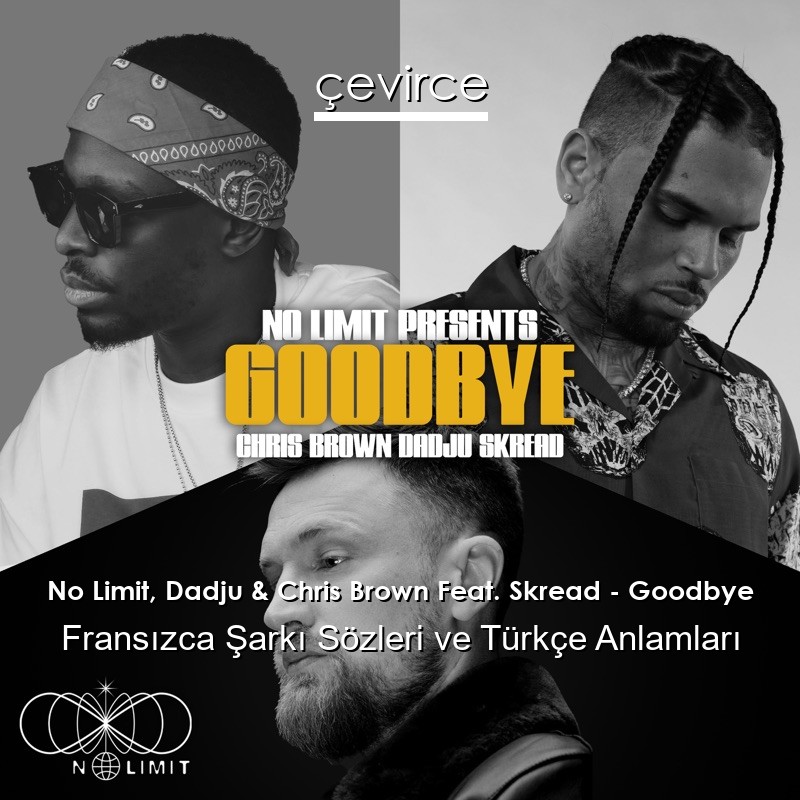 No Limit, Dadju & Chris Brown Feat. Skread – Goodbye Fransızca Şarkı Sözleri Türkçe Anlamları