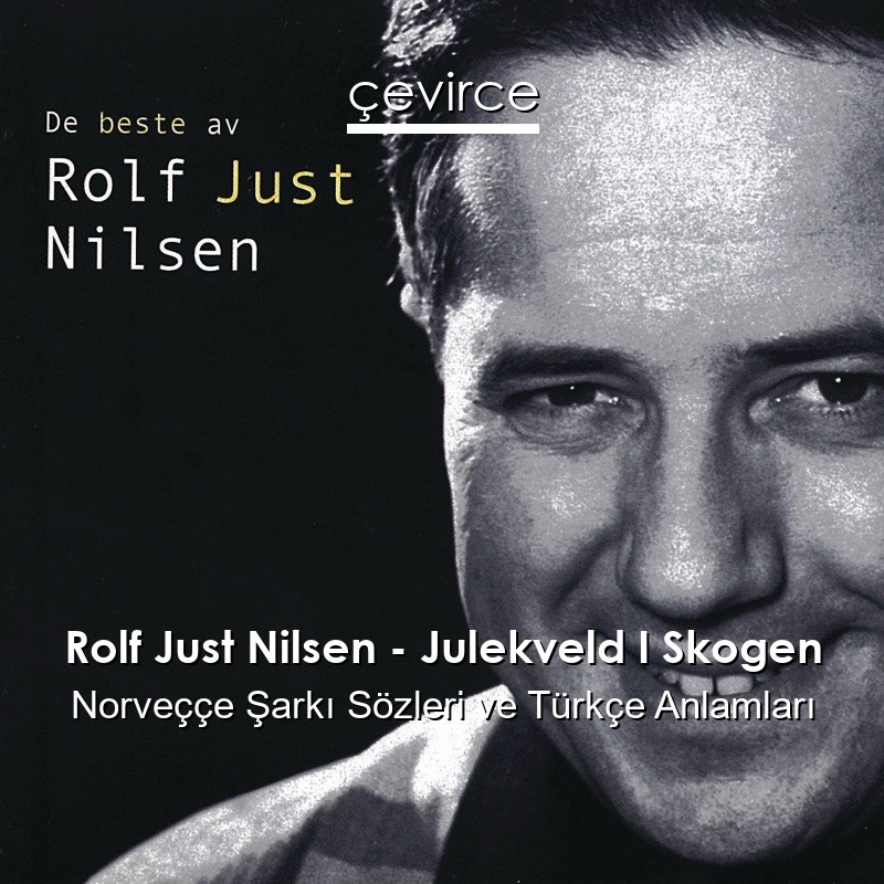 Rolf Just Nilsen – Julekveld I Skogen Norveççe Şarkı Sözleri Türkçe Anlamları