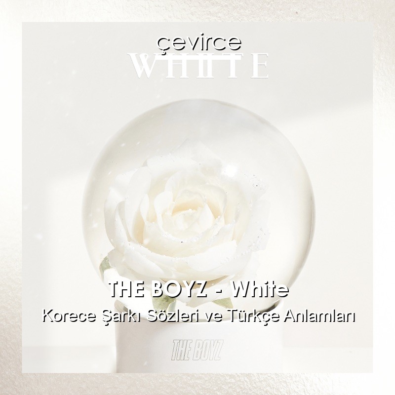THE BOYZ – White Korece Şarkı Sözleri Türkçe Anlamları