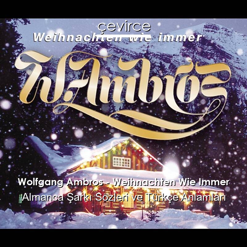 Wolfgang Ambros – Weihnachten Wie Immer Almanca Şarkı Sözleri Türkçe Anlamları