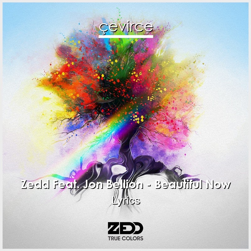 Zedd Feat. Jon Bellion – Beautiful Now Lyrics