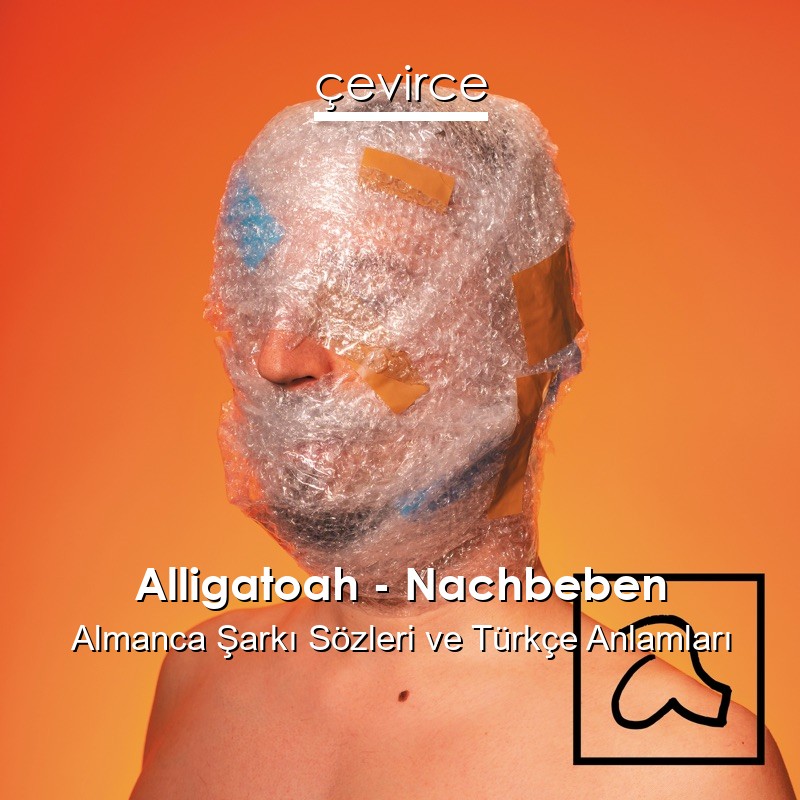 Alligatoah – Nachbeben Almanca Şarkı Sözleri Türkçe Anlamları