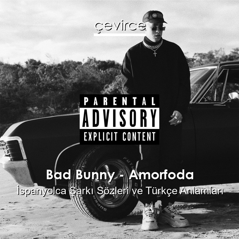 Bad Bunny – Amorfoda İspanyolca Şarkı Sözleri Türkçe Anlamları