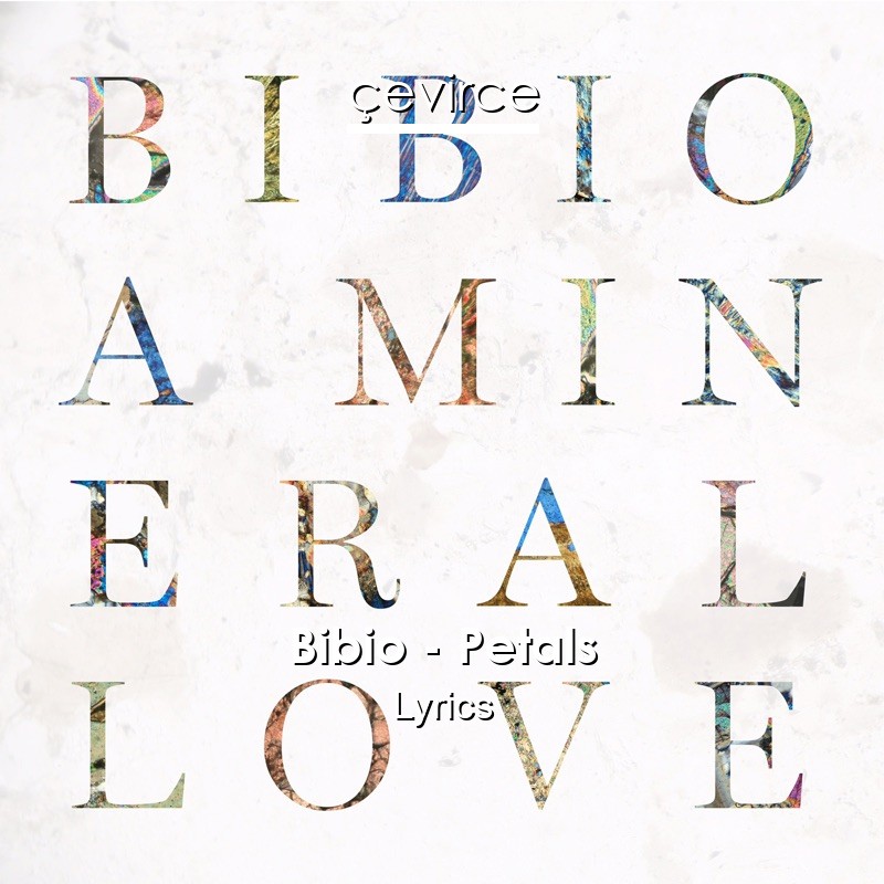 Bibio – Petals Lyrics