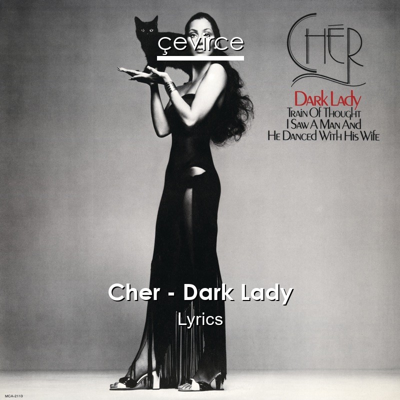 Cher – Dark Lady Lyrics
