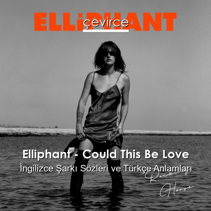 Elliphant – Could This Be Love İngilizce Şarkı Sözleri Türkçe Anlamları