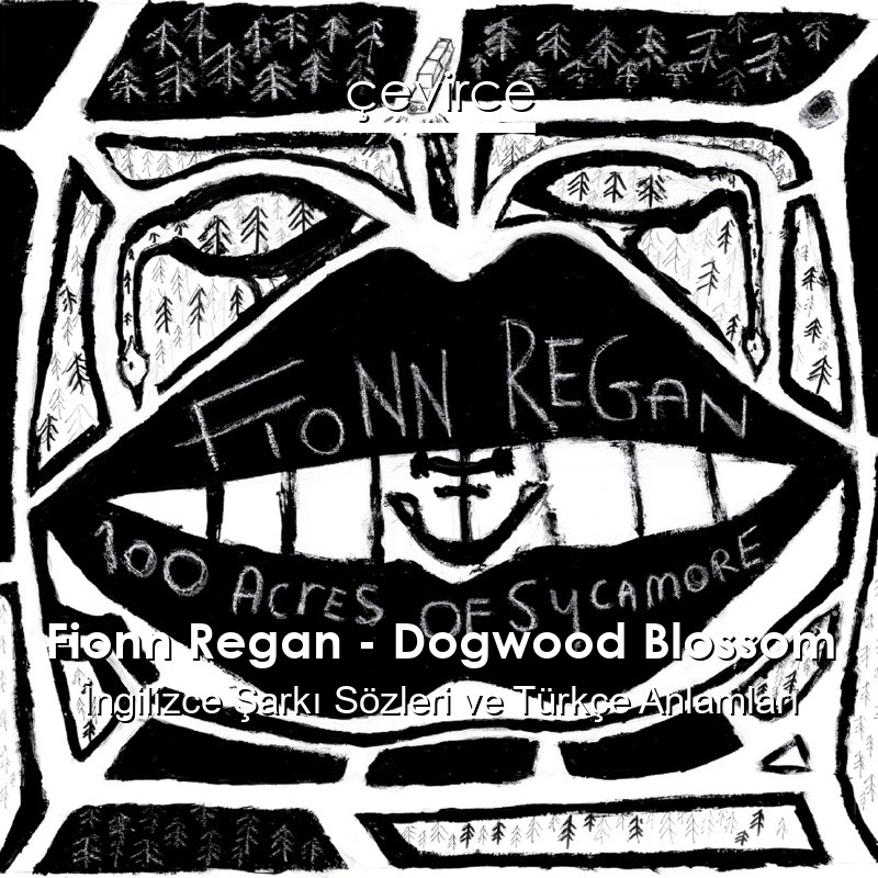 Fionn Regan – Dogwood Blossom İngilizce Şarkı Sözleri Türkçe Anlamları