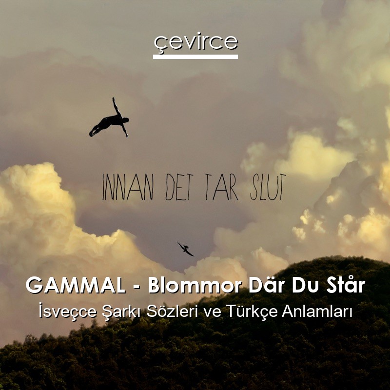 GAMMAL – Blommor Där Du Står İsveçce Şarkı Sözleri Türkçe Anlamları