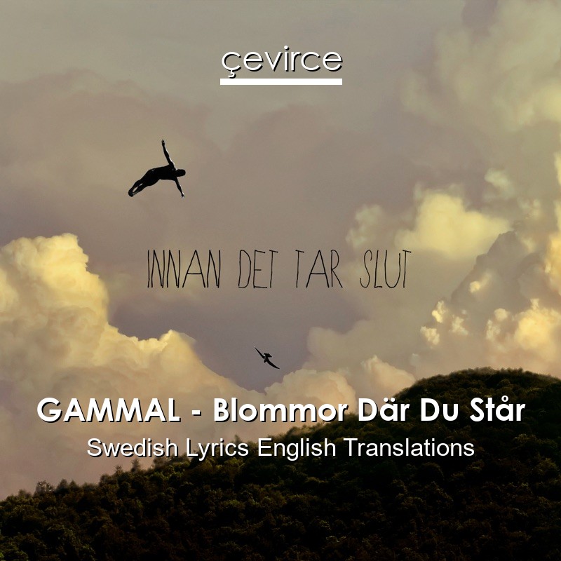 GAMMAL – Blommor Där Du Står Swedish Lyrics English Translations