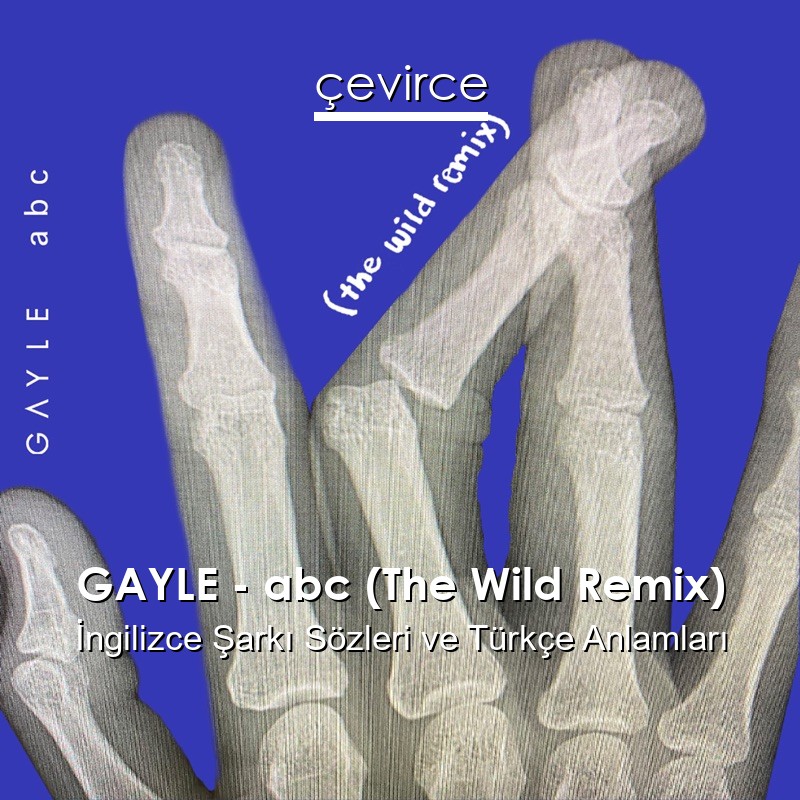 GAYLE – abc (The Wild Remix) İngilizce Şarkı Sözleri Türkçe Anlamları