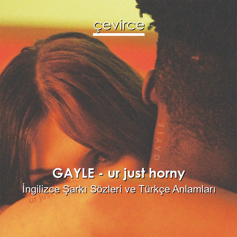 GAYLE – ur just horny İngilizce Şarkı Sözleri Türkçe Anlamları