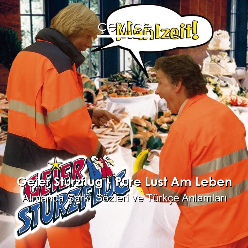 Geier Sturzflug – Pure Lust Am Leben Almanca Şarkı Sözleri Türkçe Anlamları