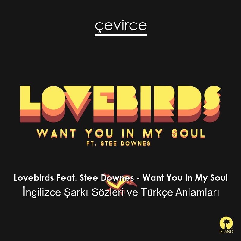 Lovebirds Feat. Stee Downes – Want You In My Soul İngilizce Şarkı Sözleri Türkçe Anlamları