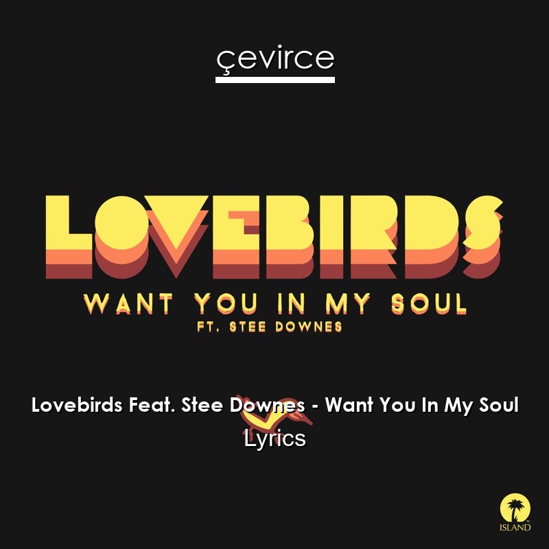 Lovebirds Feat. Stee Downes – Want You In My Soul Lyrics