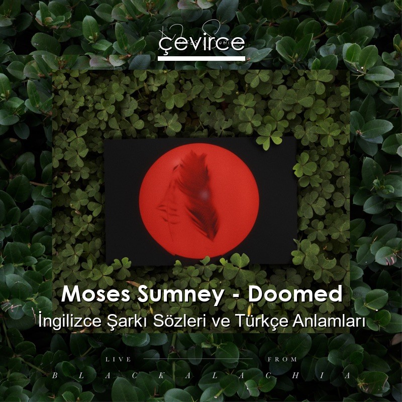 Moses Sumney – Doomed İngilizce Şarkı Sözleri Türkçe Anlamları