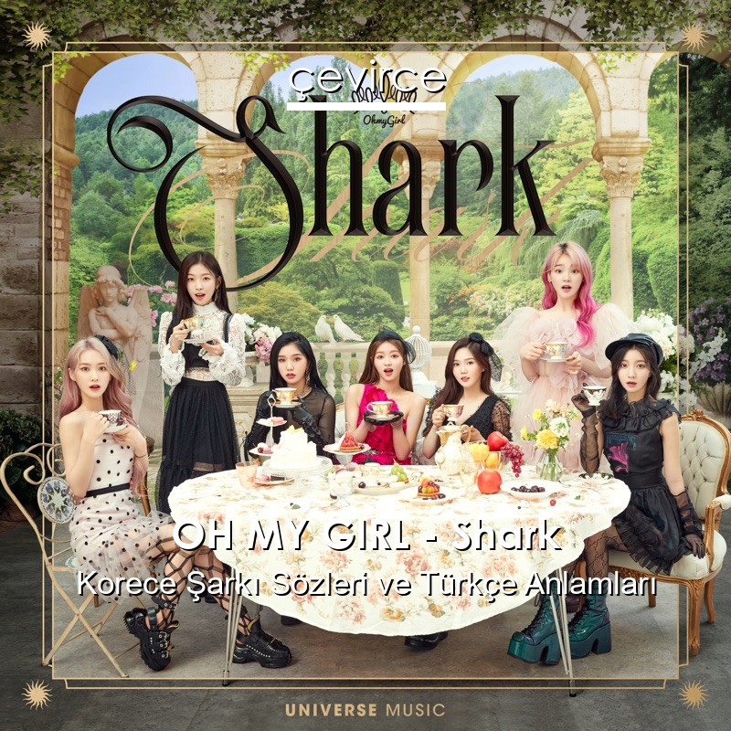 OH MY GIRL – Shark Korece Şarkı Sözleri Türkçe Anlamları