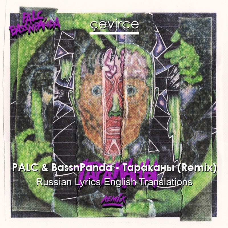 PALC & BassnPanda – Тараканы (Remix) Russian Lyrics English Translations