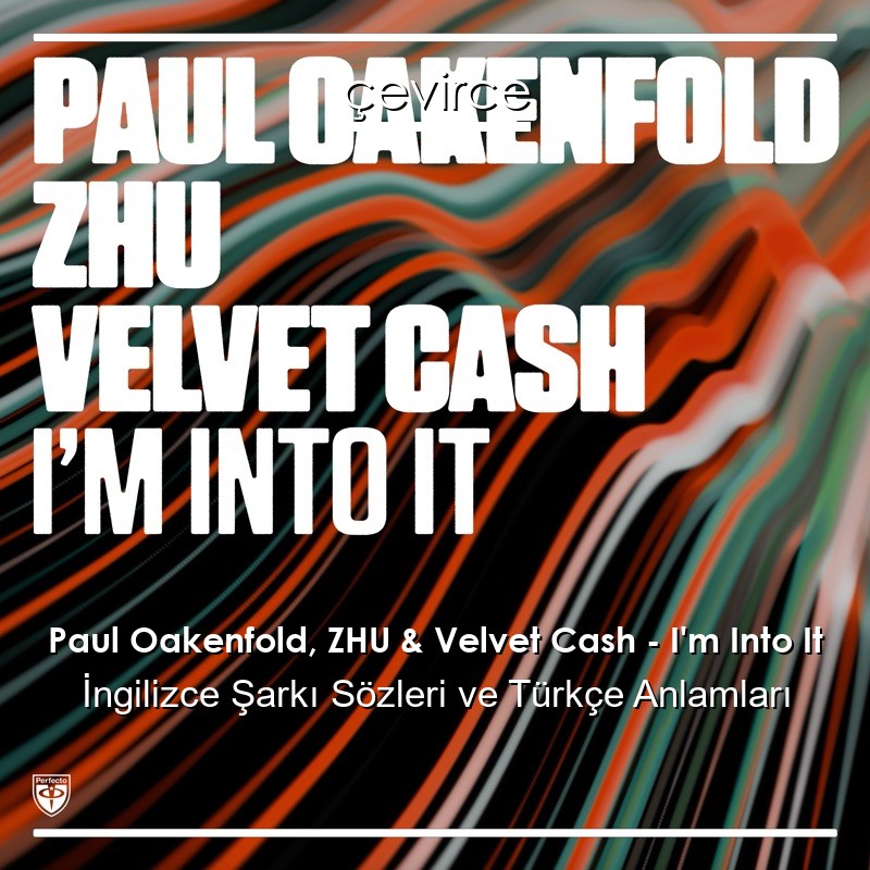 Paul Oakenfold, ZHU & Velvet Cash – I’m Into It İngilizce Şarkı Sözleri Türkçe Anlamları