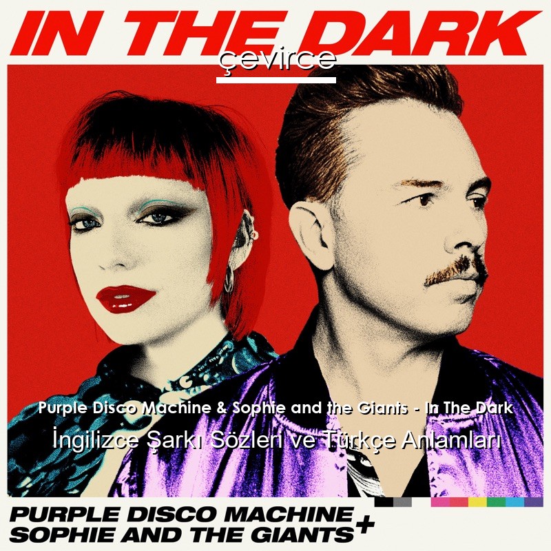 Purple Disco Machine & Sophie and the Giants – In The Dark İngilizce Şarkı Sözleri Türkçe Anlamları