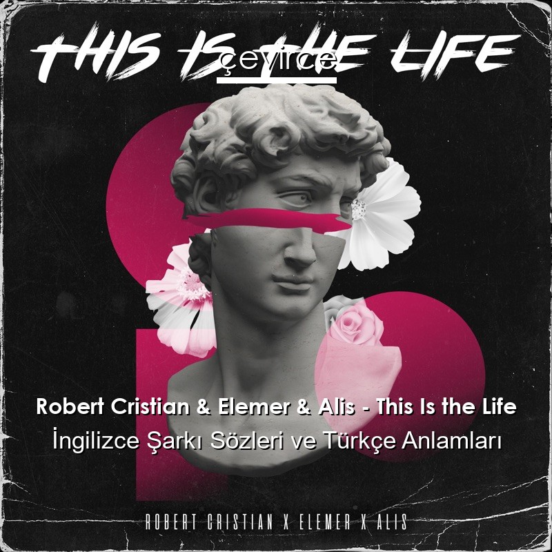 Robert Cristian & Elemer & Alis – This Is the Life İngilizce Şarkı Sözleri Türkçe Anlamları