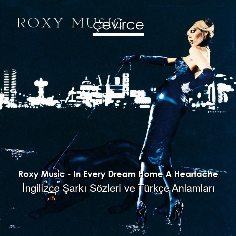 Roxy Music – In Every Dream Home A Heartache İngilizce Şarkı Sözleri Türkçe Anlamları