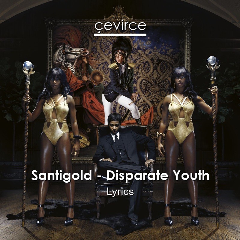 Santigold – Disparate Youth Lyrics
