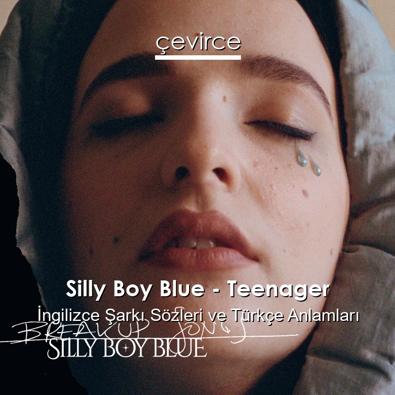 Silly Boy Blue – Teenager İngilizce Şarkı Sözleri Türkçe Anlamları