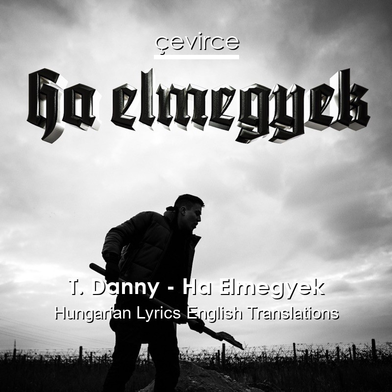 T. Danny – Ha Elmegyek Hungarian Lyrics English Translations