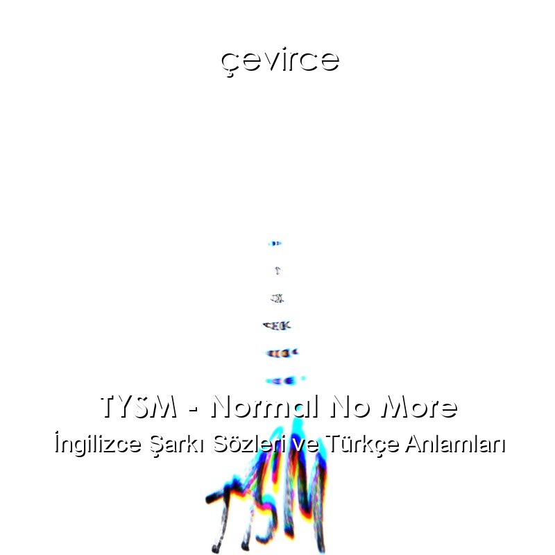 TYSM – Normal No More İngilizce Şarkı Sözleri Türkçe Anlamları