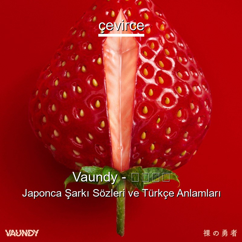 Vaundy – 裸の勇者 Japonca Şarkı Sözleri Türkçe Anlamları