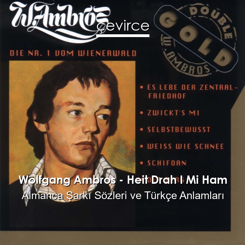 Wolfgang Ambros – Heit Drah I Mi Ham Almanca Şarkı Sözleri Türkçe Anlamları